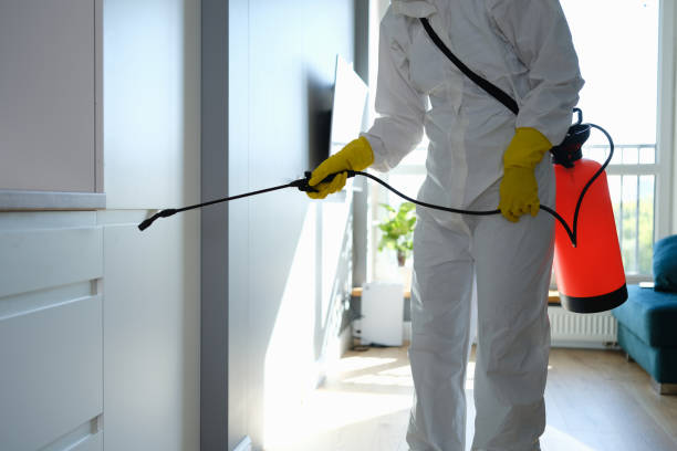 Best Office Mold Removal Services  in Douglass Hills, KY